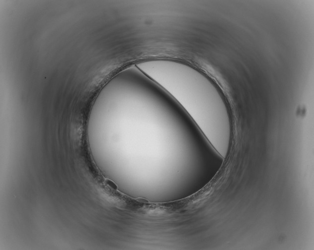 X0000089720113200706210903