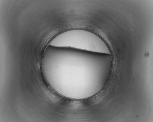 X0000089720114200706210903