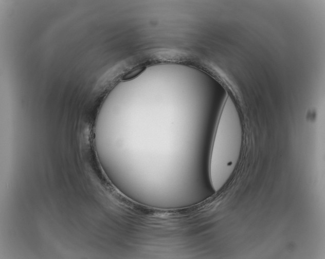 X0000089720117200706210903