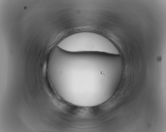 X0000089720118200706210903
