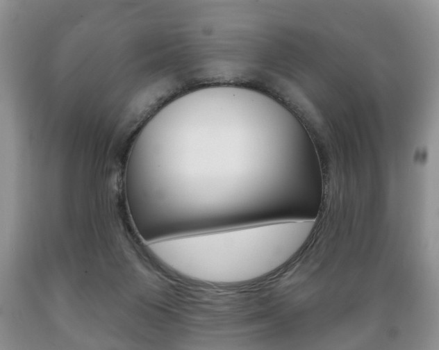 X0000089720119200706210903