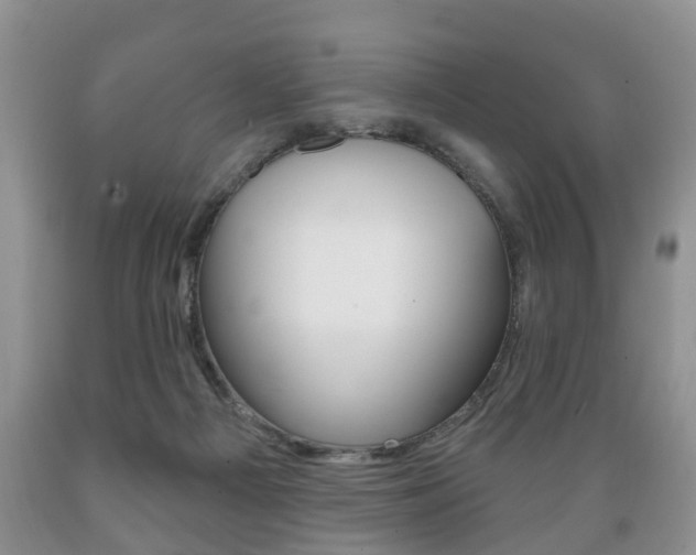 X0000089720121200706210903