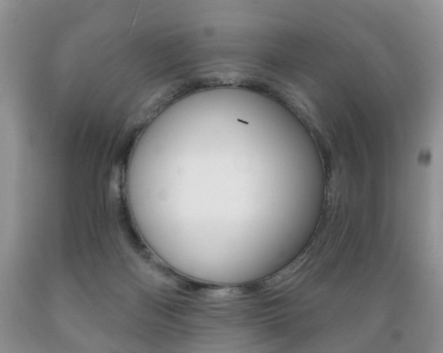 X0000089720122200706210902
