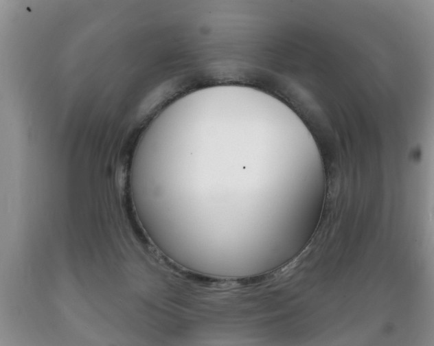 X0000089720124200706210902