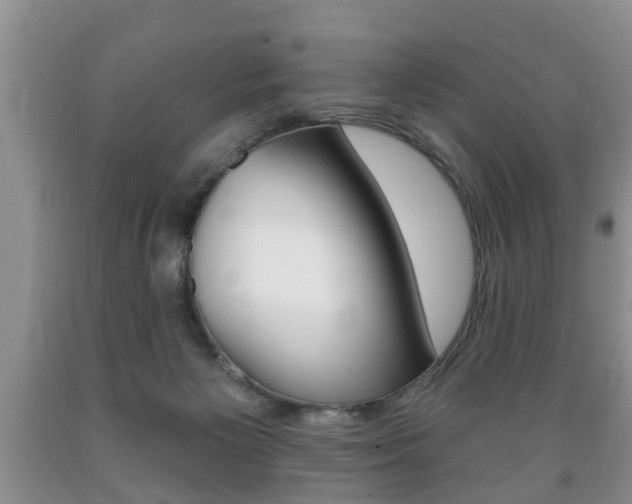 X0000089720125200706210902