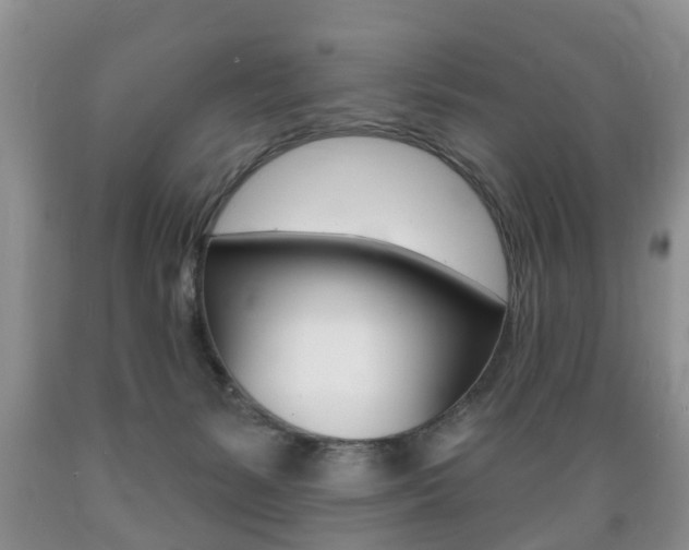 X0000089720127200706210902