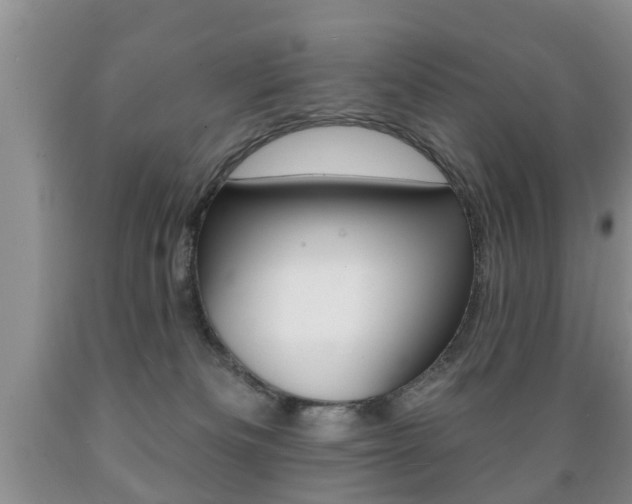 X0000089720133200706210902