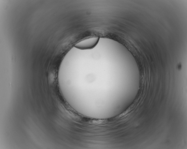 X0000089720134200706210902