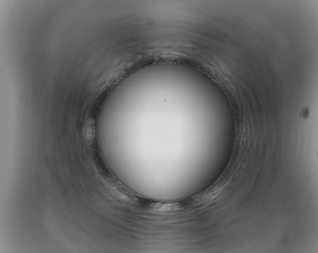 X0000089720135200706210902