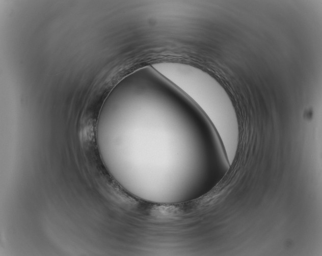 X0000089720137200706210902