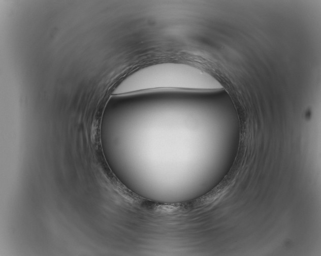 X0000089720139200706210902