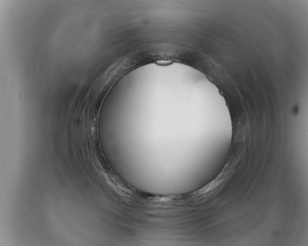 X0000089720140200706210902