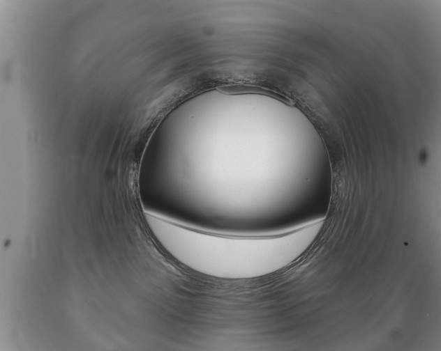 X0000089720141200706210902