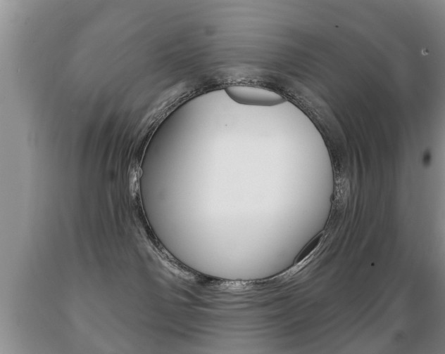 X0000089720142200706210902