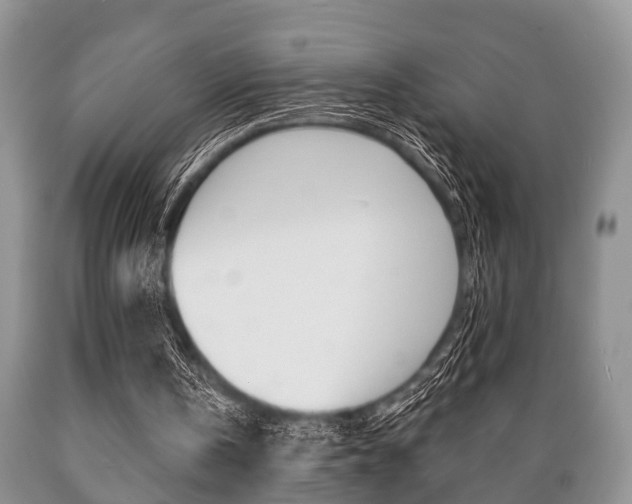 X0000089720146200706210902