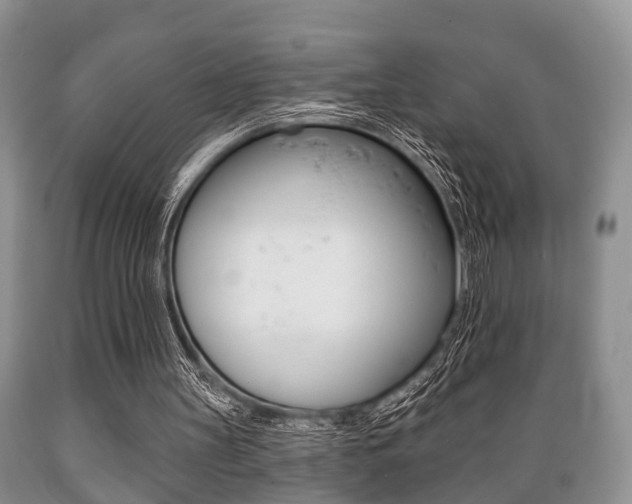 X0000089720147200706210902