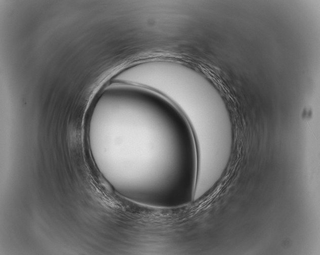X0000089720148200706210902