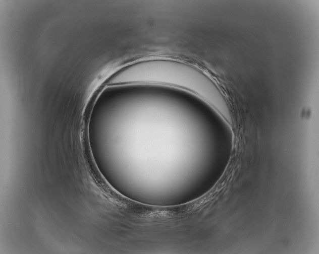 X0000089720152200706210902