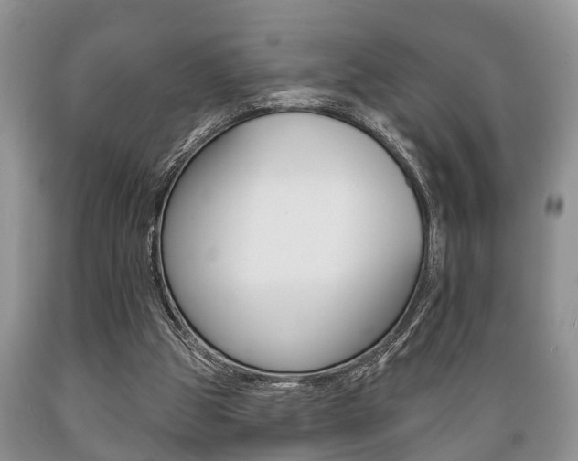 X0000089720153200706210902