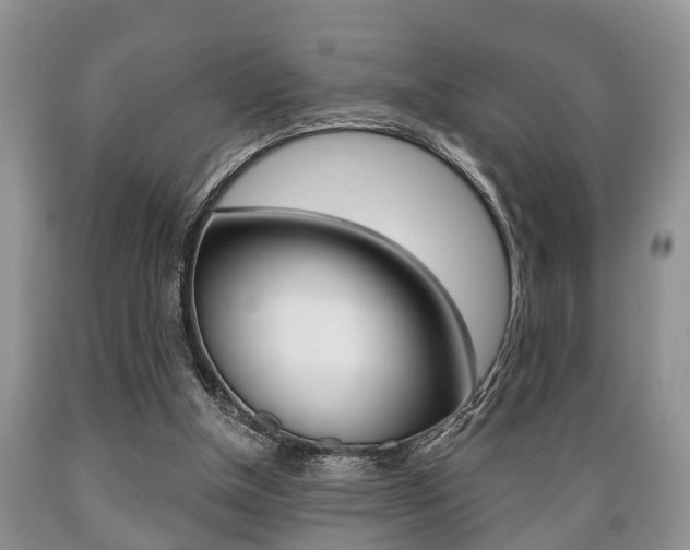 X0000089720154200706210902