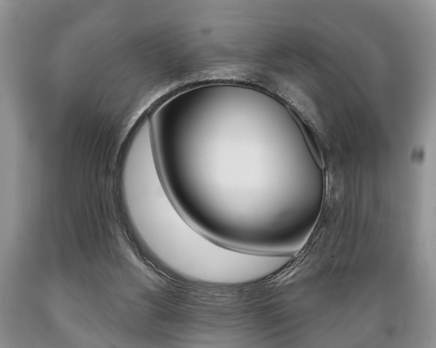 X0000089720156200706210902