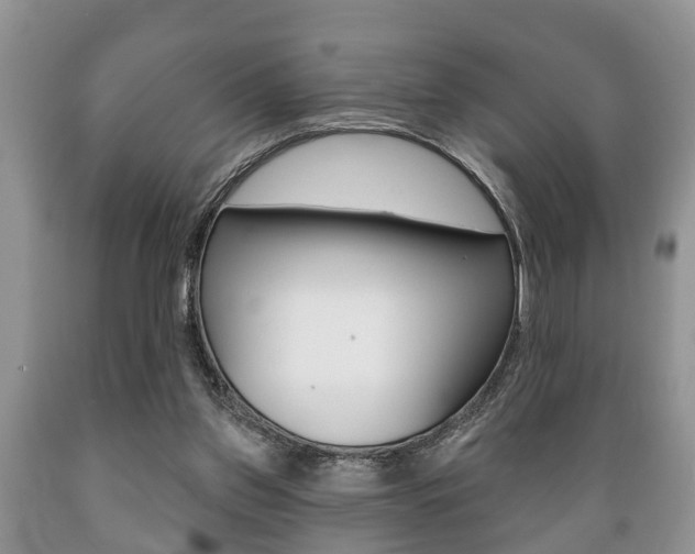 X0000089720157200706210902