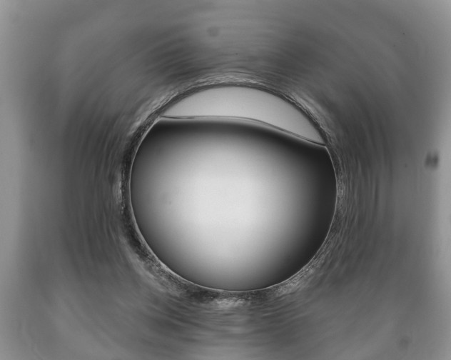 X0000089720158200706210902