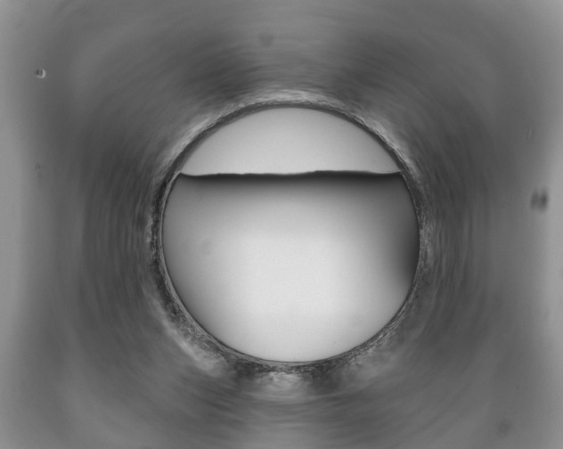 X0000089720159200706210902