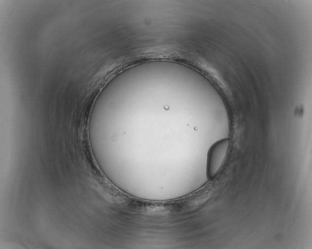 X0000089720161200706210902