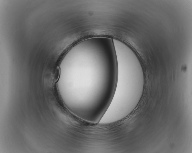 X0000089720164200706210902