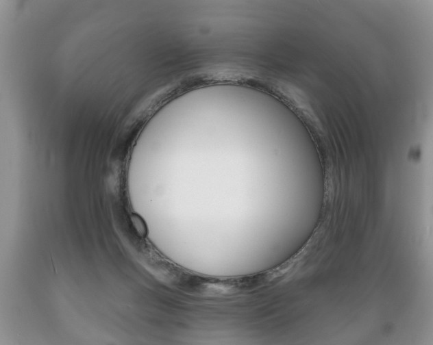 X0000089720167200706210902