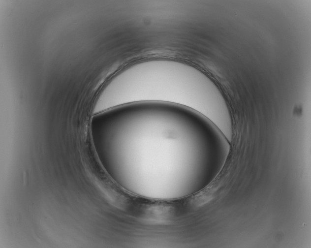 X0000089720168200706210902