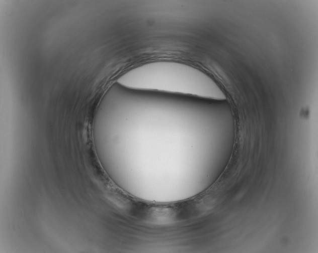 X0000089720169200706210902