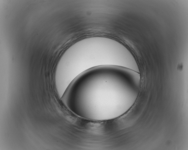 X0000089720170200706210902