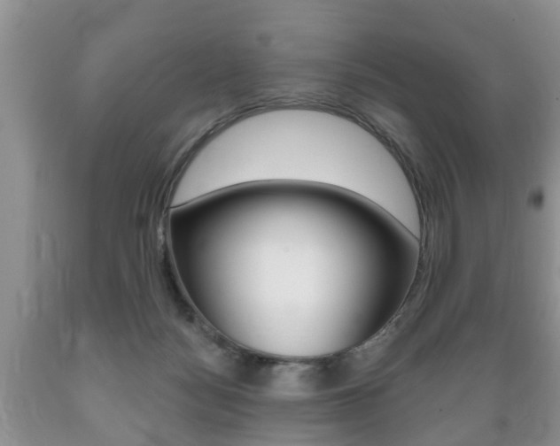 X0000089720172200706210902