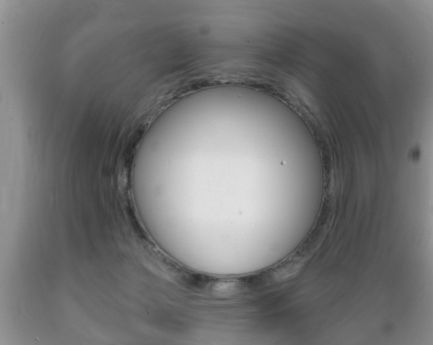X0000089720173200706210902