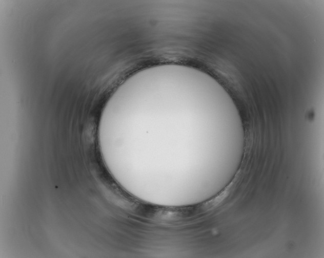 X0000089720174200706210902