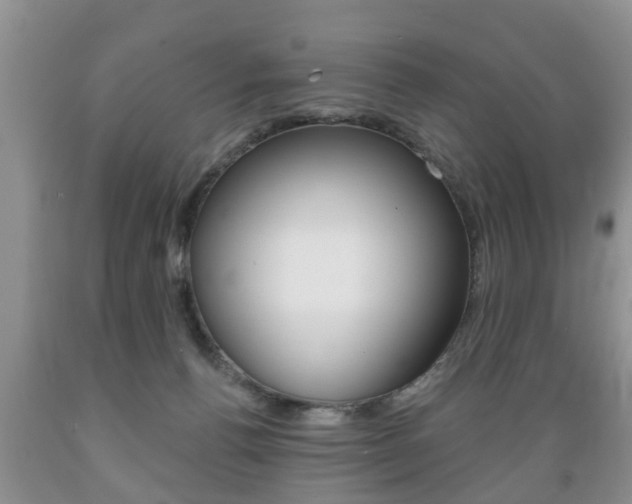 X0000089720176200706210902
