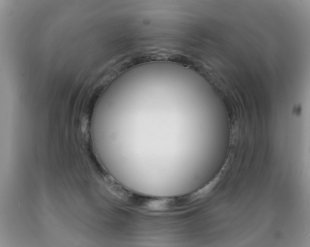 X0000089720178200706210902