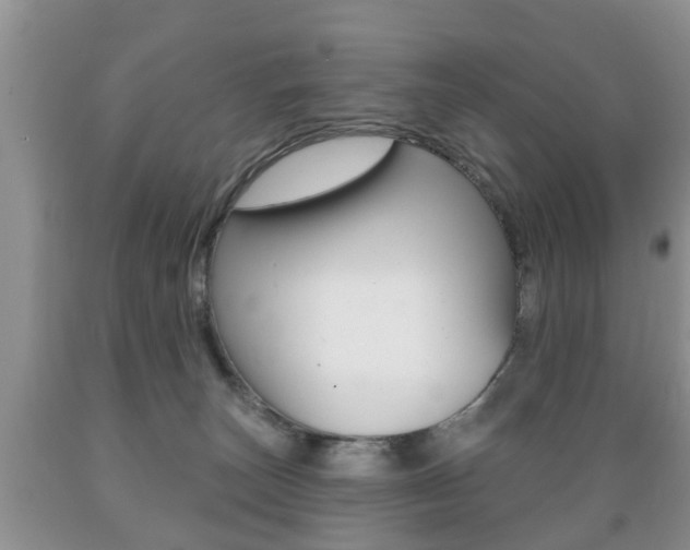 X0000089720179200706210902