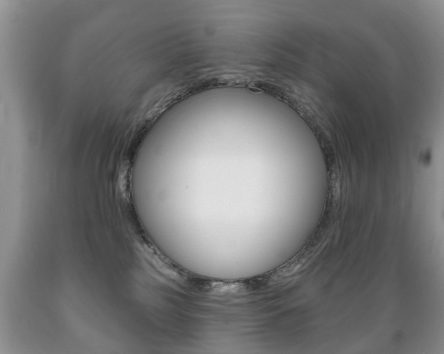 X0000089720185200706210902