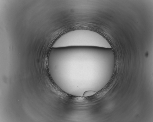 X0000089720189200706210902