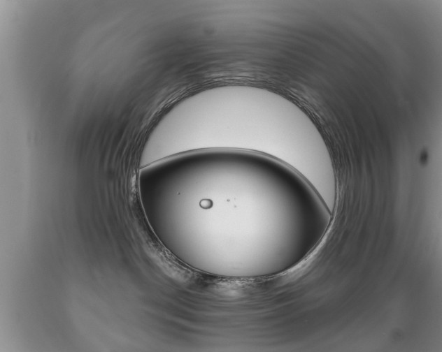 X0000089720190200706210902