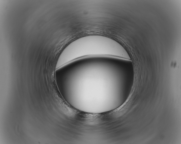 X0000089720192200706210902