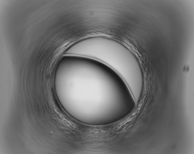 X0000089720193200706210902
