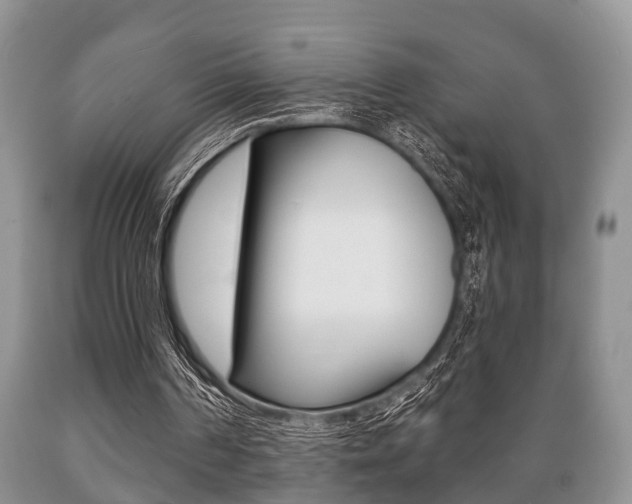 X0000089720194200706210901