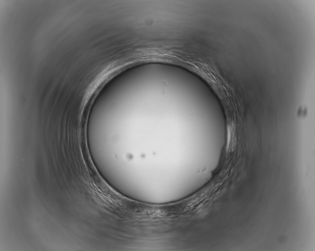 X0000089720195200706210901