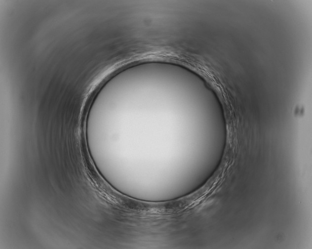 X0000089720196200706210901
