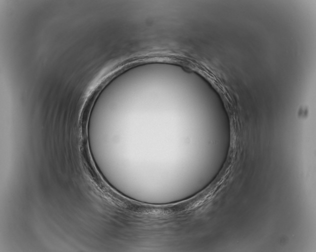 X0000089720198200706210901