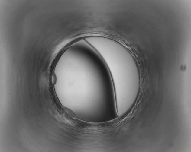 X0000089720200200706210901